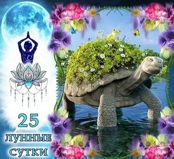 25 лунные сутки