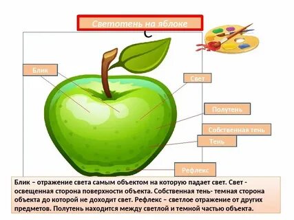 Яблоко сложное или простое