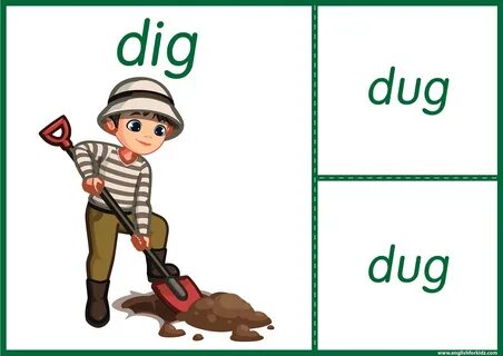Dig catch
