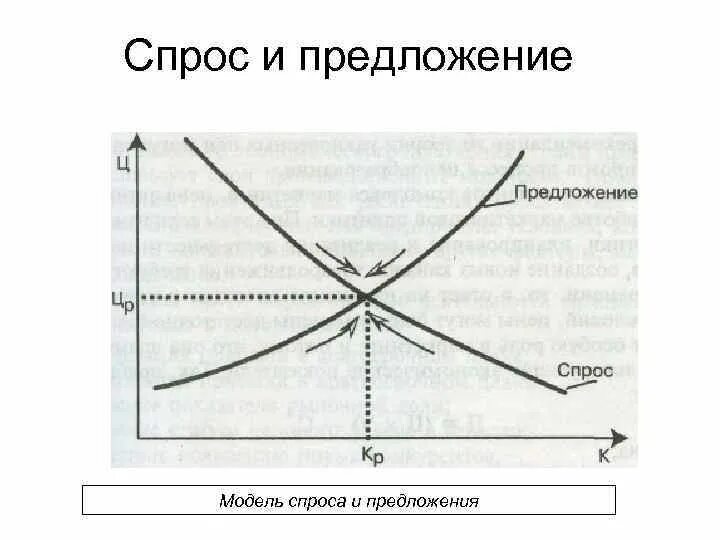 Модель спроса и предложения в экономике. Модель спроса и предложения в экономике