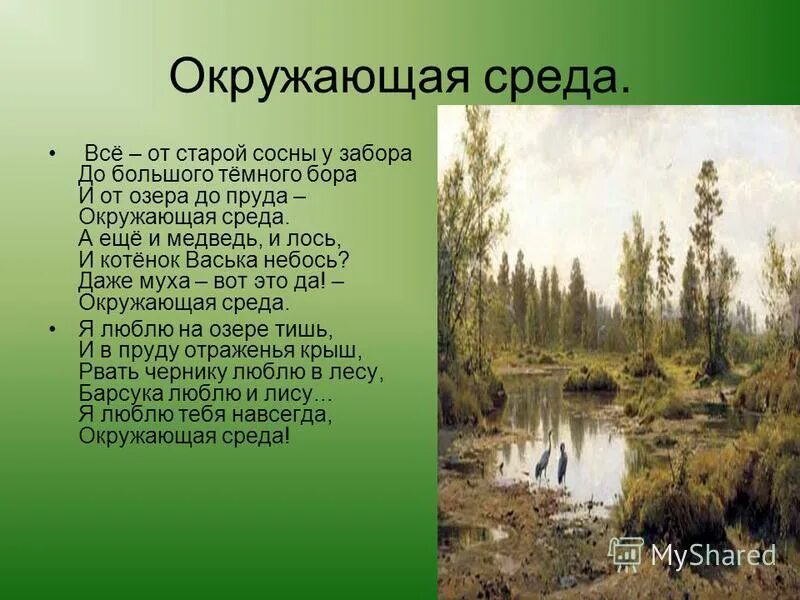 У старой сосны что хотел сказать автор. Стих сосны у пруда и. Ульянов. Пруд, окружённый верболозами это.
