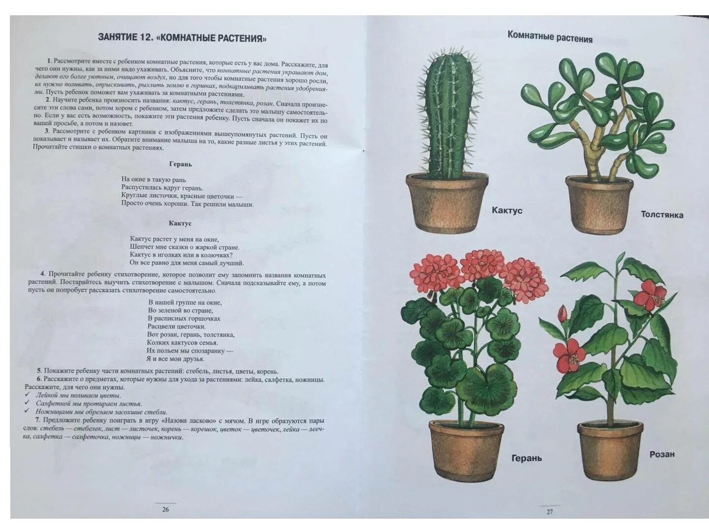 Комнатные растения Нищева. Комнатные цветы занятие для дошкольников. Комнатные цветы для детей средней группы. Комнатные растения для детей подготовительной группы.