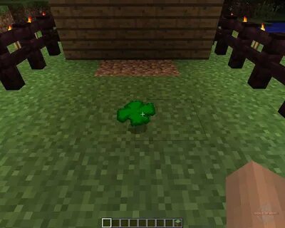 Magic clover