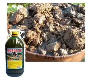 Коровяк удобрение