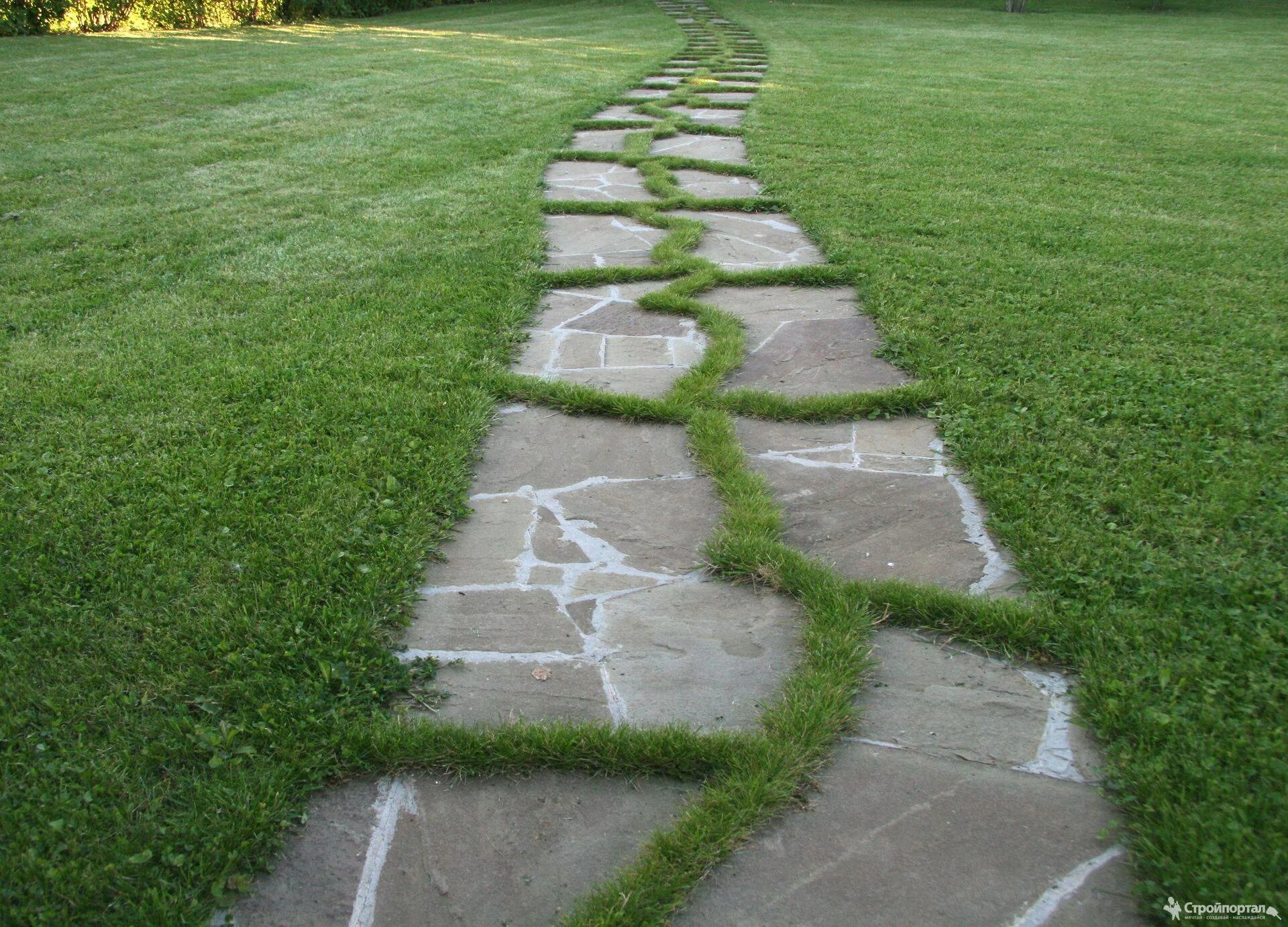 Камень в газоне дорожка. Плитняк для садовых дорожек. Название дорожек. Терраццо дорожки ландшафт. Дорожки на даче.