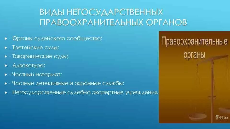 Налоговые органы правоохранительные органы. Правоохранительные органы. Негосударственные правоохранительные органы. Виды правоохранительных органов. Функции негосударственных правоохранительных органов.