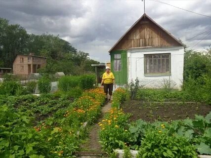 Сады г магнитогорска