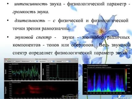 Физиологические звуки