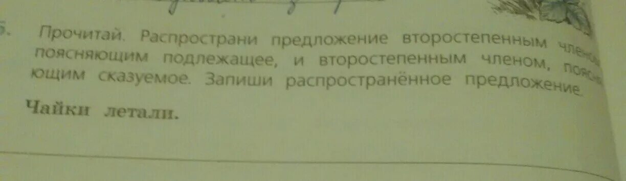 Распространите любое предложение второстепенными. Чайки летали распространить предложение. Предложение с чайкой. Предложение со словом Чайка. Чайки летали распространи предложения второстепенными.