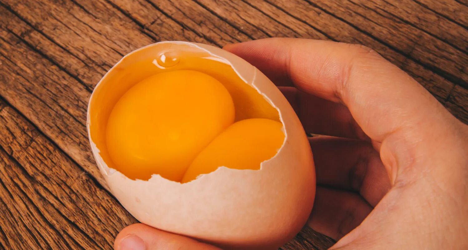 Яичный желток. Двойной желток в яйце. Коричневый желток в яйце. Яйцо фермерское двухжелтковое.
