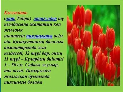 Көзді жұмып секс