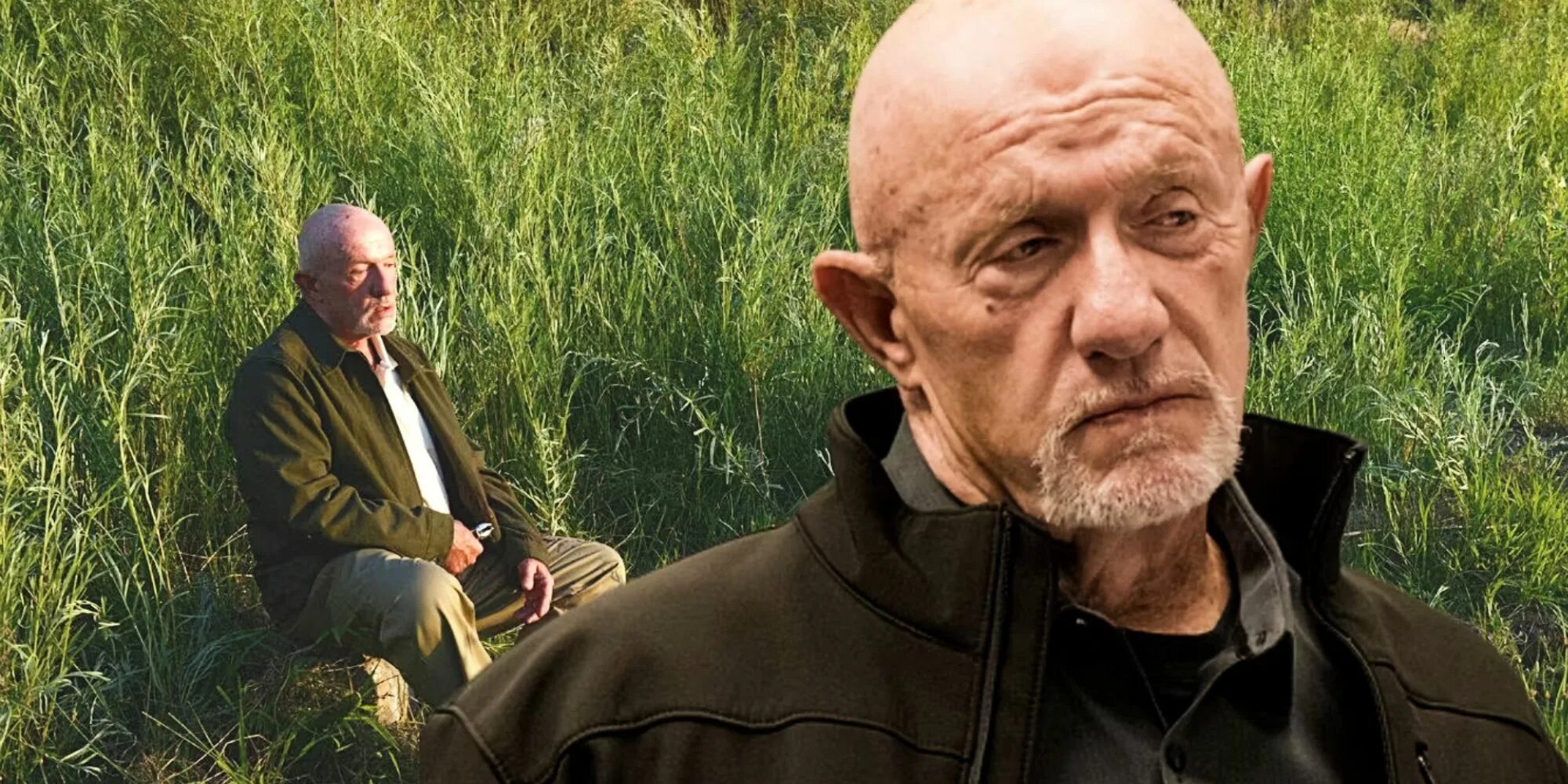 Old mike. Джонатан Бэнкс Майк Эрмантраут. Breaking Bad Mike Ehrmantraut. Breaking Bad Майк Эрмантраут. Майк Эрмантраут и Гоблин.