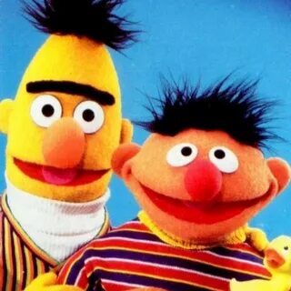 Bert s