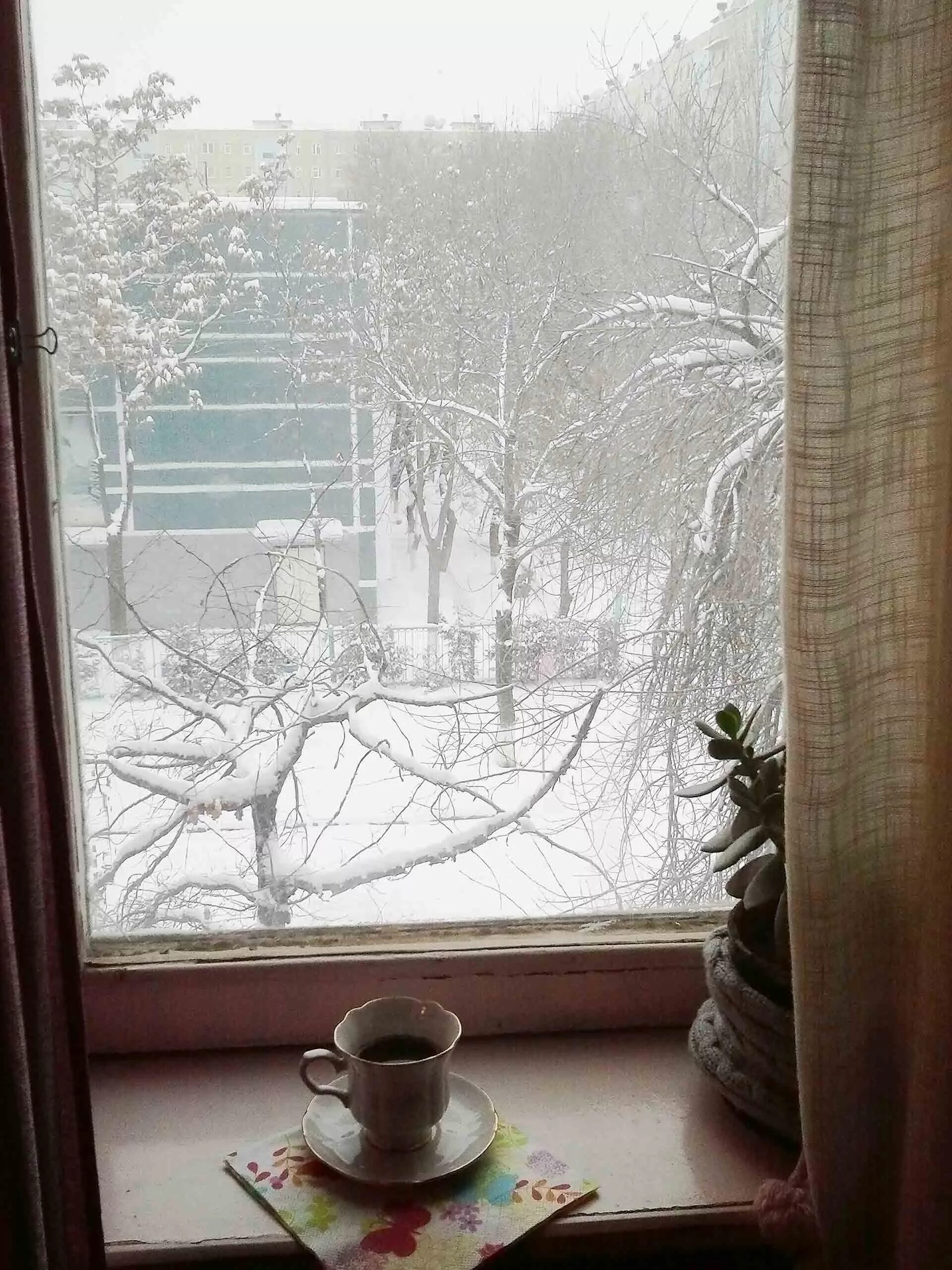 зимнее утро. цитаты про метель за окном. женщина у зимнего окна. окно зимой. пусть непогода за окном.