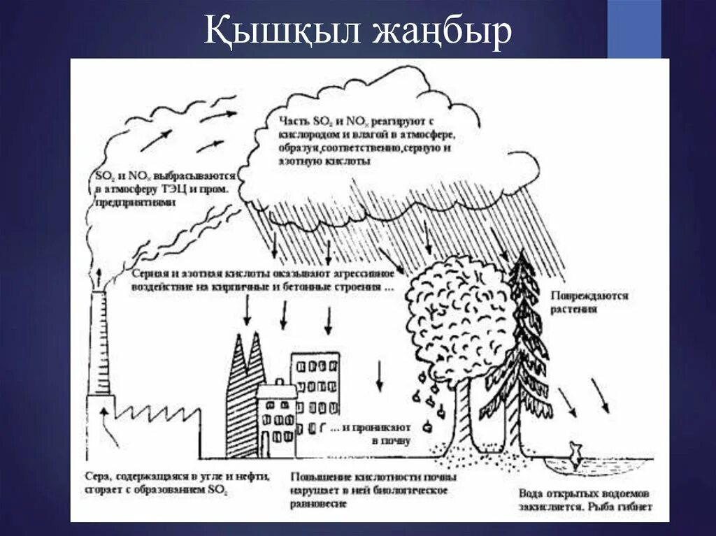 Кислотные дожди образуются в атмосфере. Схема образования кислотных дождей. механизм образования кислотных осадков схема. схема формирования кислотных дождей. кислотные дожди схема.