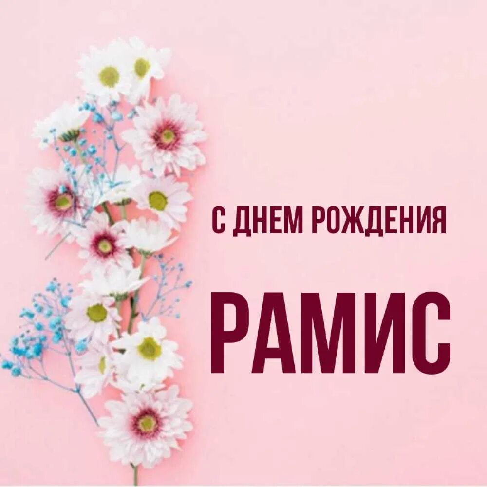 Рамис значение имени. Рамис значение имени