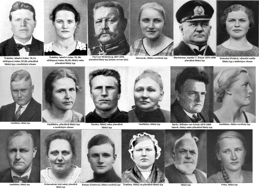 Расы западной европы. Фальская и кроманидная расы. динарская раса. альпийская раса. фальский тип расы.