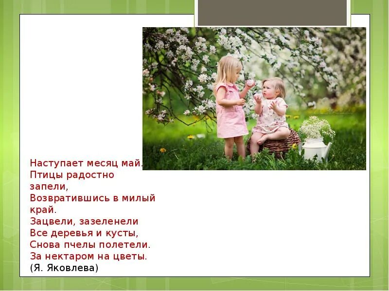 Наступил месяц нашего. Презентация цветущий сад для детей 5-6 лет. наступил месяц май. наступает месяц май птицы радостно запели. сочинение цветущий май 4 класс.