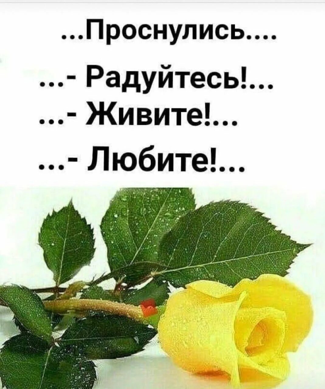 Любите жизнь и наслаждайтесь каждым днем
