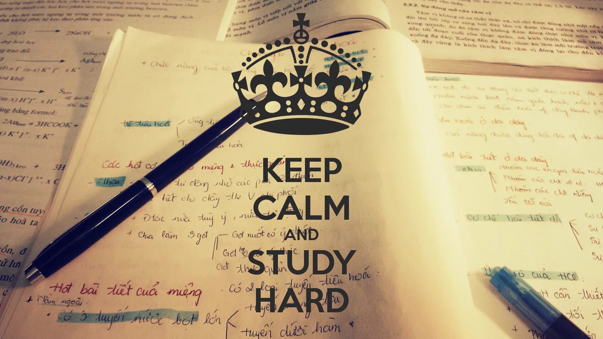 Study hard обои. Кск прошел учебныц год. When you study hard. Обои мотивирующие на учебу. Motivation for students.