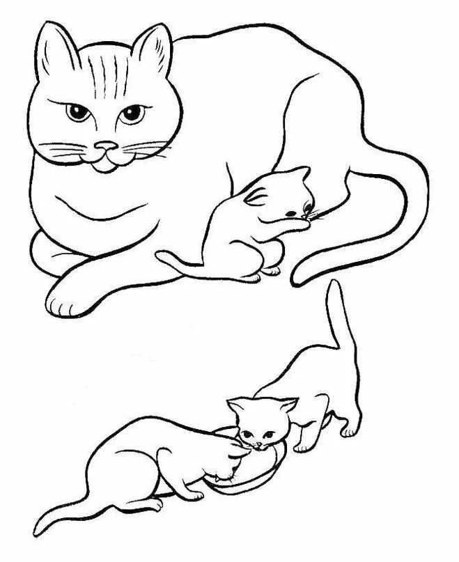 Рисунок как животные заботятся о своем потомстве. Раскраска кошка с котятами. раскраски домашние котята. раскраска домашние животные кошка. раскраска мама кошка с котятами.