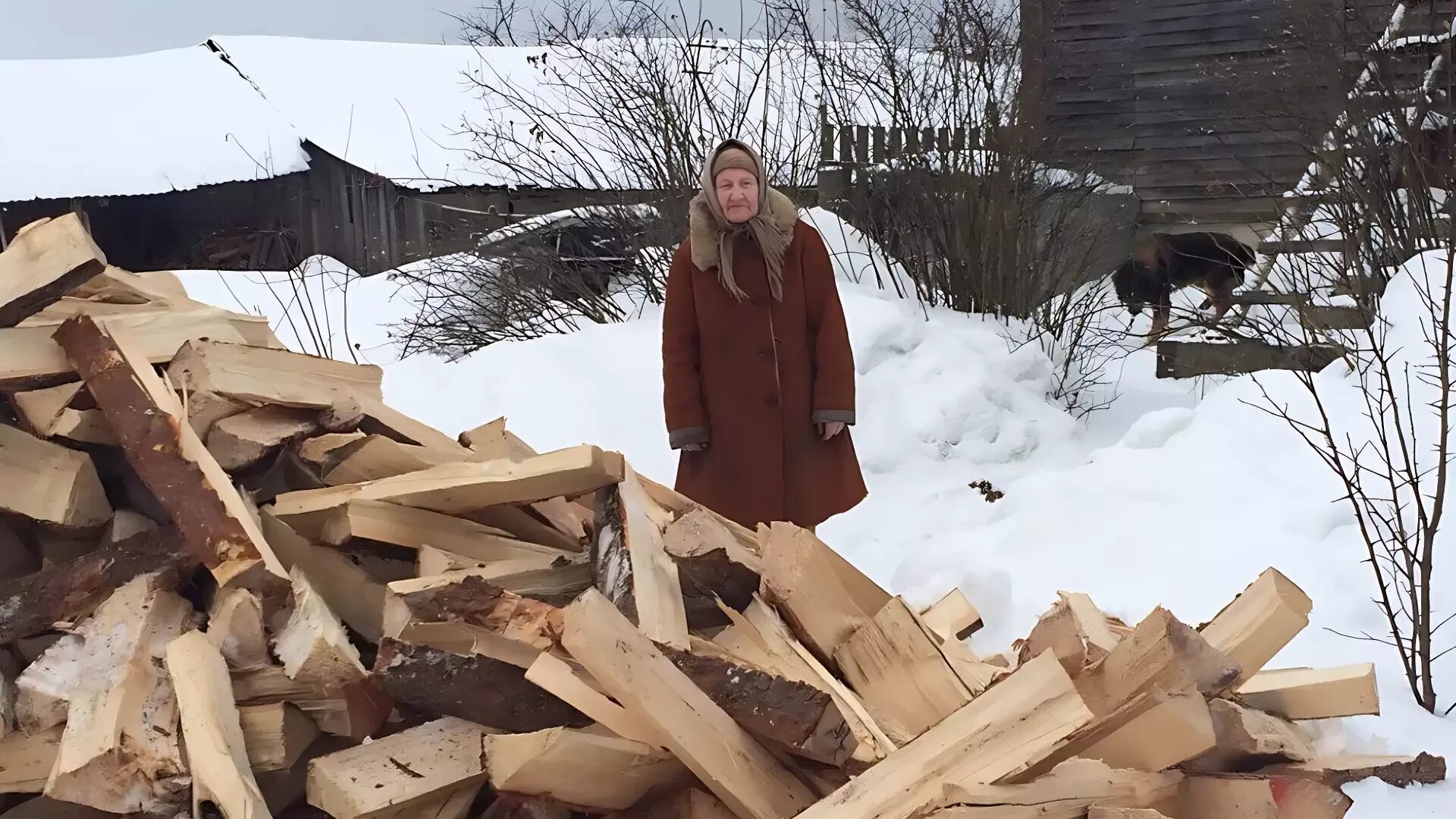 Бабушка с дровами. Бабка с дровами. Человек с дровами. Старуха с дровами.