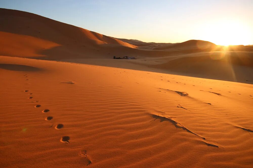 Сколько песок в сахаре. Что под песками Сахары. Пески сахара для туристов. Что скрывают Пески Сахары.