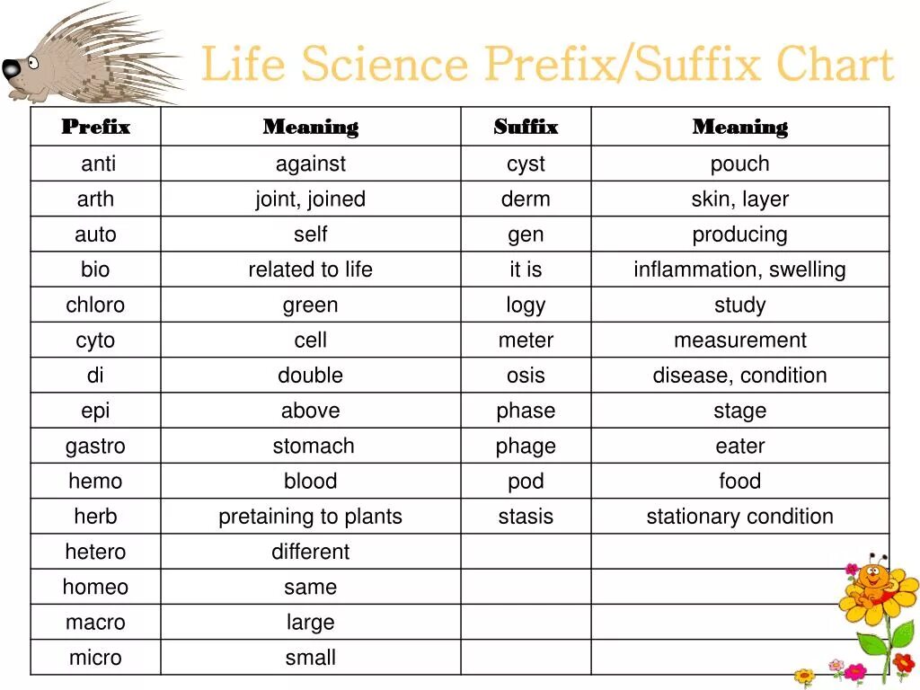 Suffixes meaning. Prefixes and suffixes. Word formation суффиксы prefixes. Meaning of suffixes in English. Prefixes and suffixes таблица.