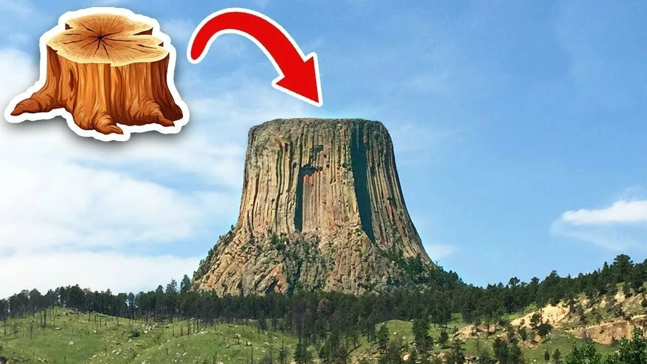 Красивые дорогие вещи. Самый предмет в мире. Самый большой пень в мире. Самый предмет в мире. Самый огромный объект.