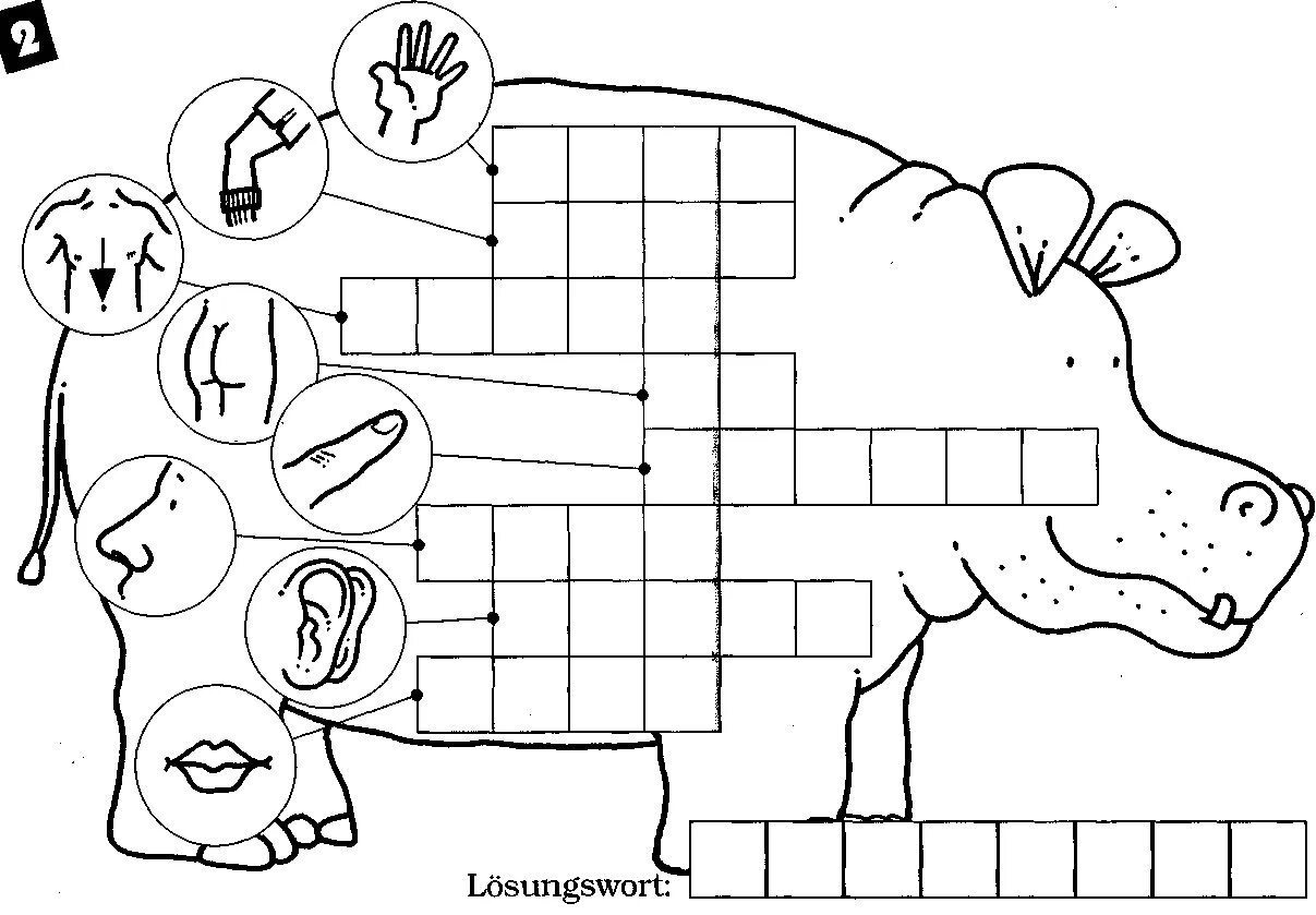 Слово картинка кроссворд ответы. Кроссворды. Кроссворды для детей. Кроссворд части тела. Кроссворды малышам.
