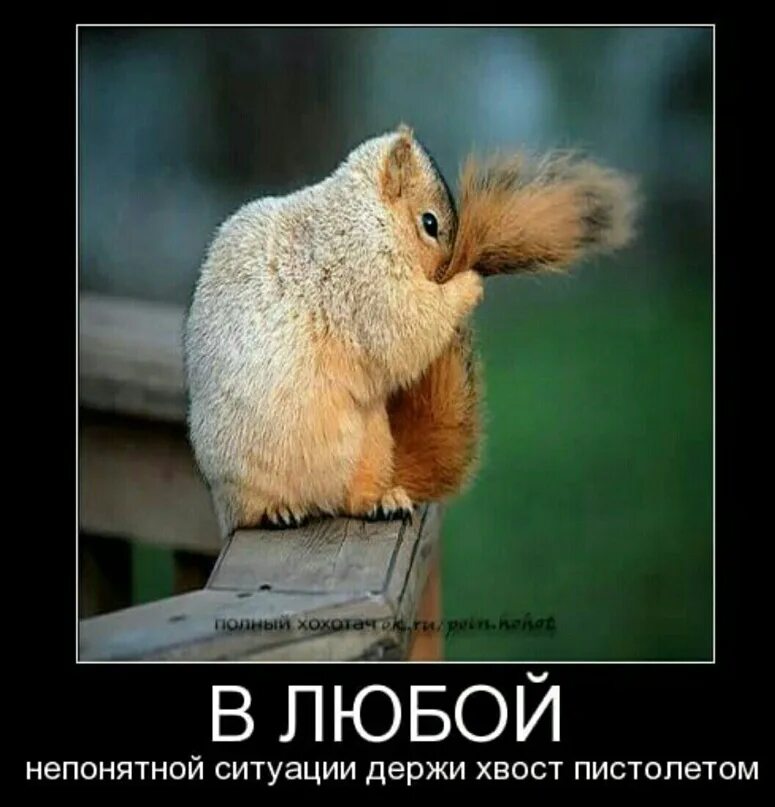 Ладно буду держать. Держи хвост пистолето и вме будет хорошо. держать хвост пистолетом. доброе утро хвост пистолетом. держи хвост пистолетом доброе утро.