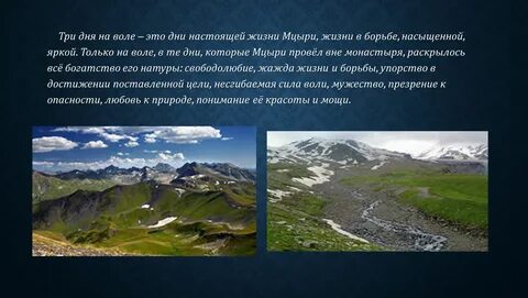На что обращает внимание мцыри в окружающей