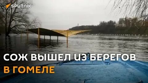 Уровень реки сож в славгороде