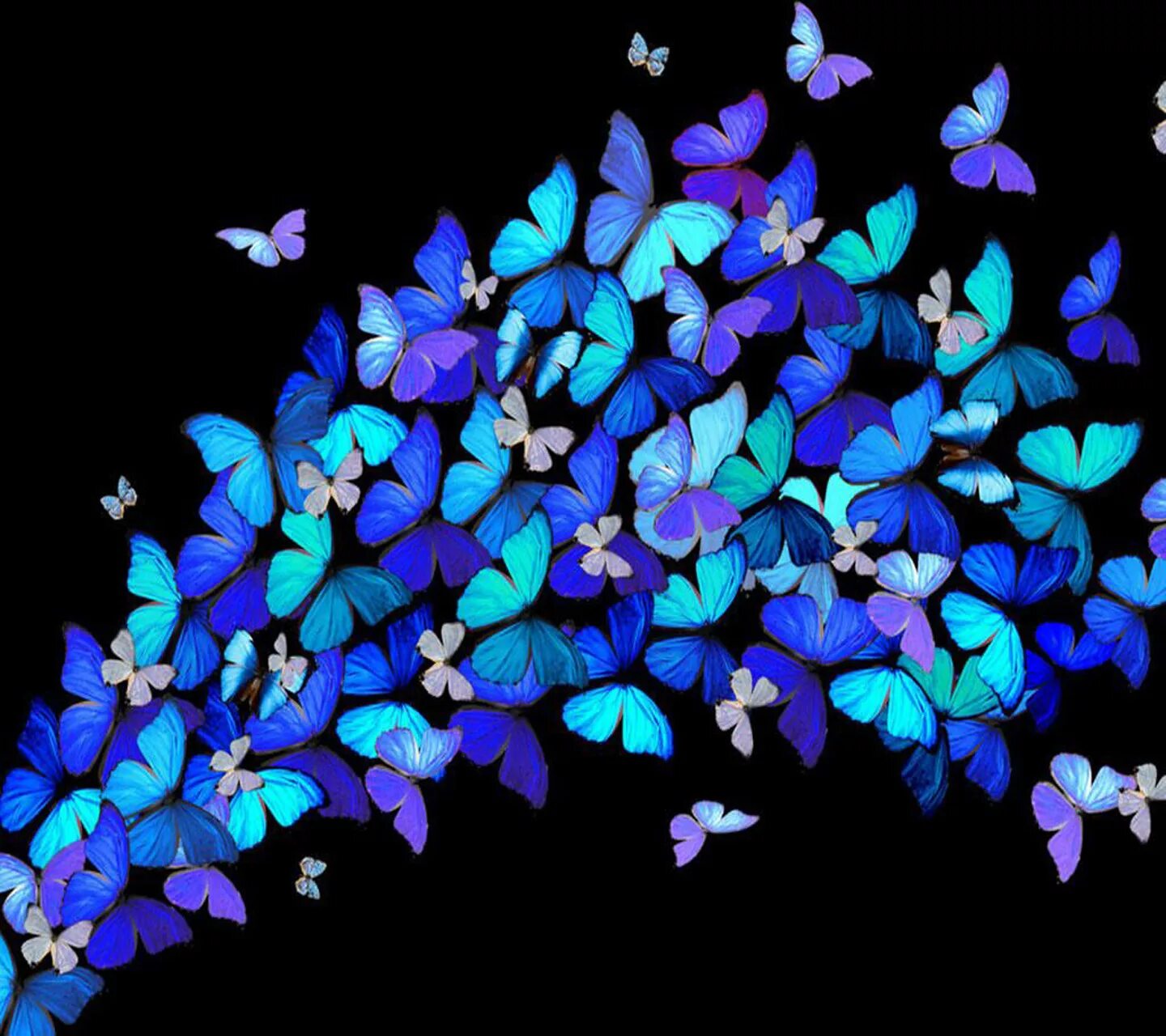 Много бабочек. Разноцветные бабочки. Синяя бабочка. Много разноцветных бабочек. Бабочек легкая стая
