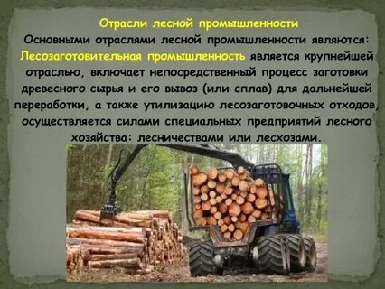 Какие виды производства объединяет лесная промышленность