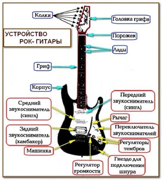 Зачем электрогитара. Строение гитары электрогитары. Строение электро бас гитары. Из чего состоит гитара электро схема.