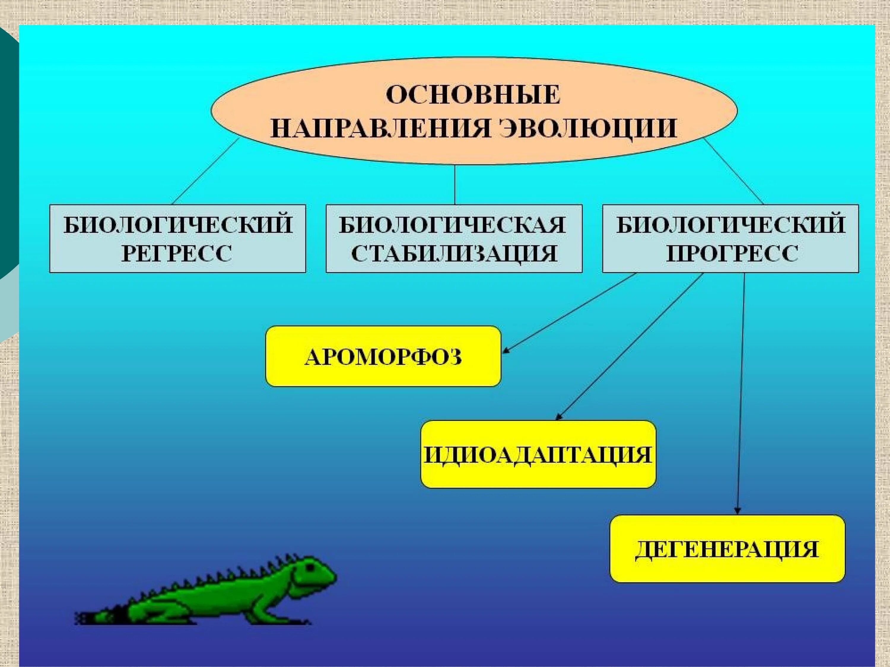 Направление эволюционного развития