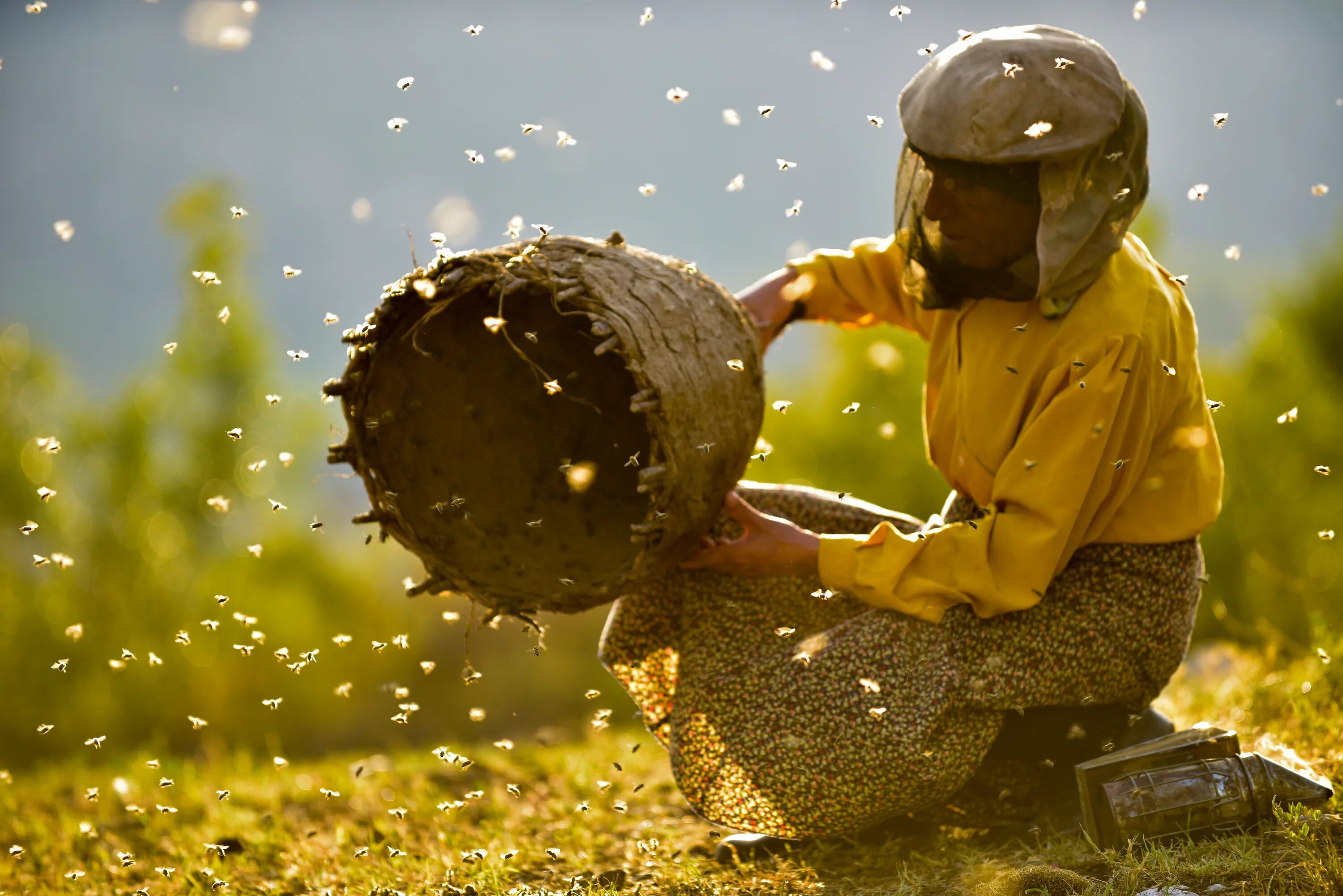 Страна меда 2. Honeyland. "Honeyland" 2019. Человек пчела.