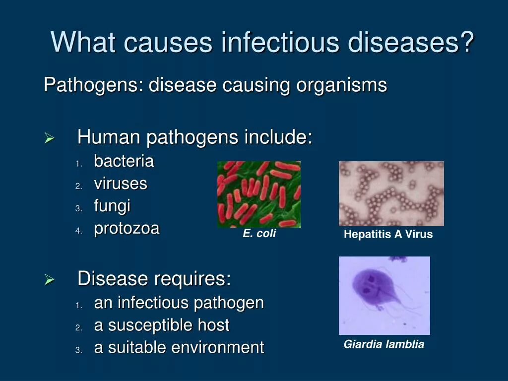 Giardia бактерия.