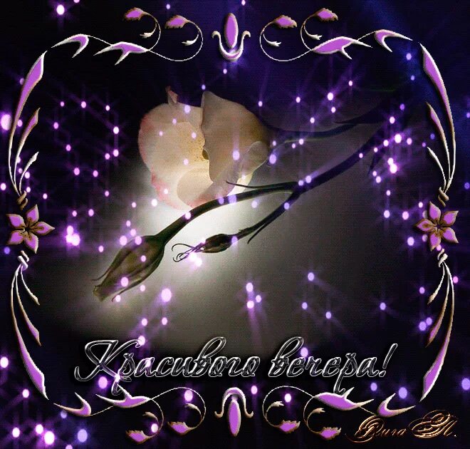 прекрасного вечера. приятных снов гиф. добрый вечер красивые. доброй ночи красивые. добрый вечер пожелания красивые необычные.