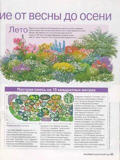 Клумба непрерывного цветения схема с названиями