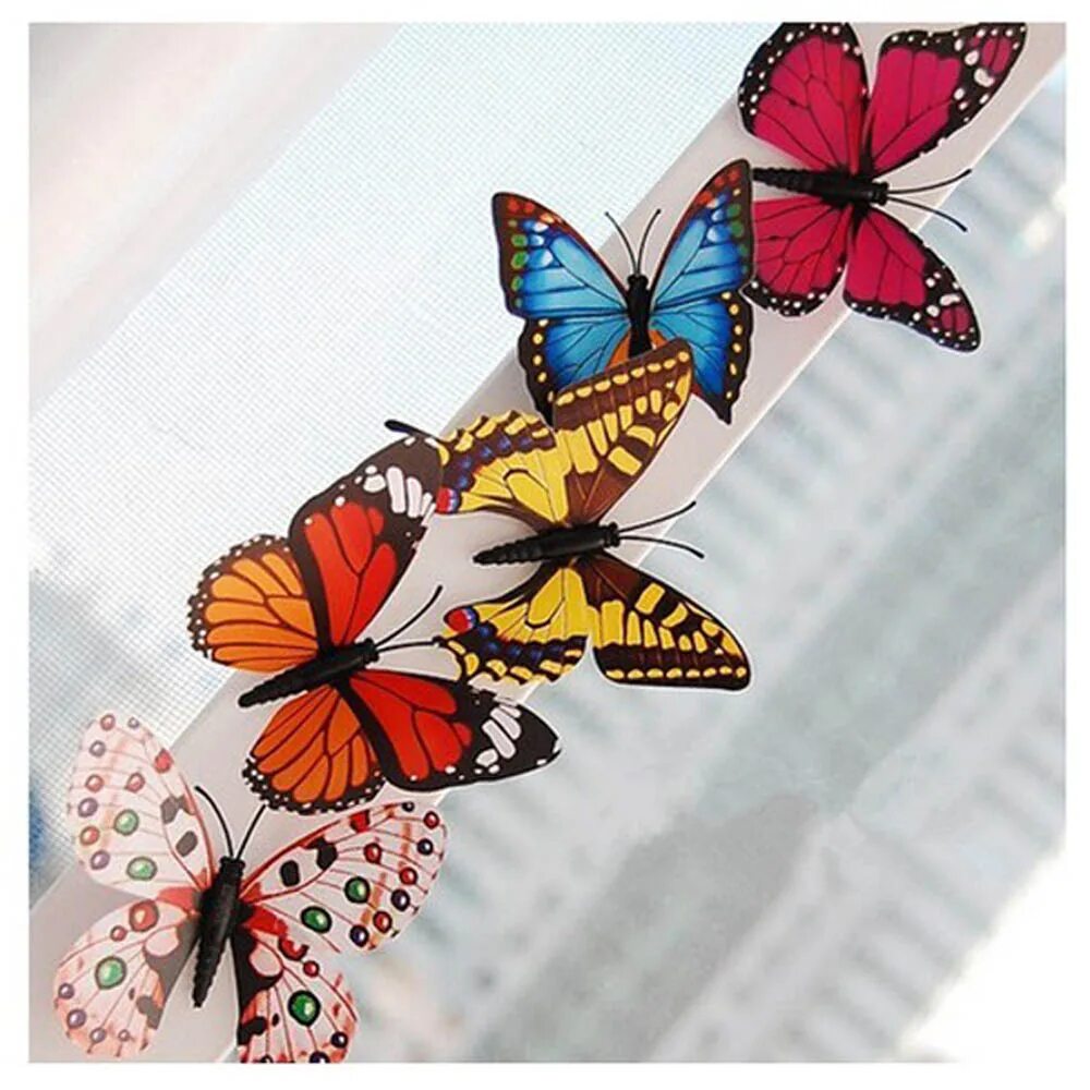 Бабы на ферме. Набор "бабочка". Коллекция бабочек. Живая бабочка в подарок. Где продаются бабочки.