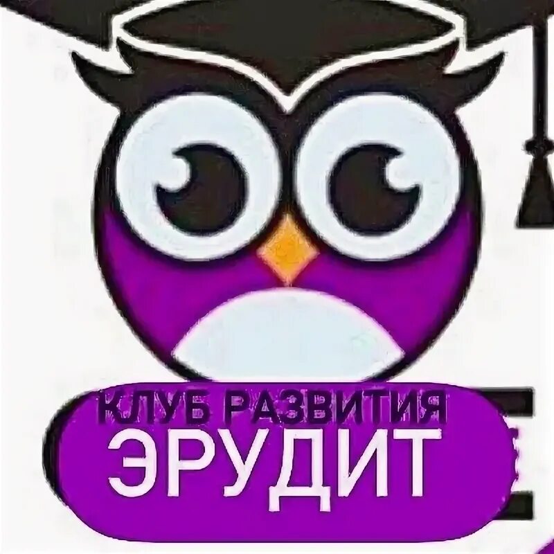 Эрудит кемерово. Эрудит. Эрудит Азнакаево. Камера клуб Эрудит. Симбирский Эрудит.