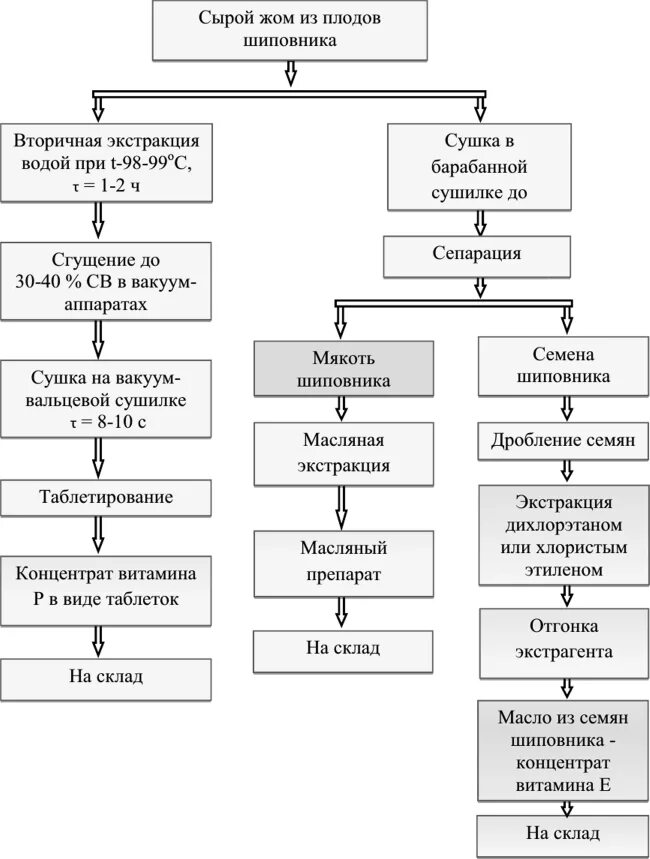Шиповник проект. Технологическая карта шиповник. Полезные напитки для детей. Технологическая карта шиповник. Технологическая карта напиток шиповник.