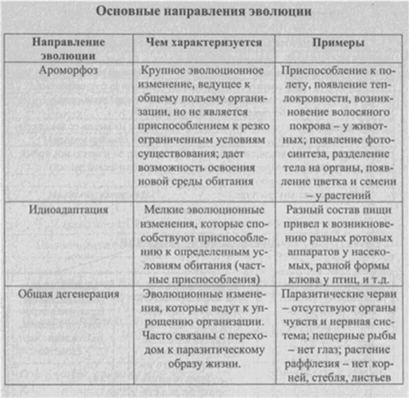 Биологический прогресс ароморфоз общая дегенерация и. Таблица главные направления эволюции 9 класс биология. Основные направления эволюции таблица 9 класс по биологии. Главные направления эволюции 9 класс таблица.