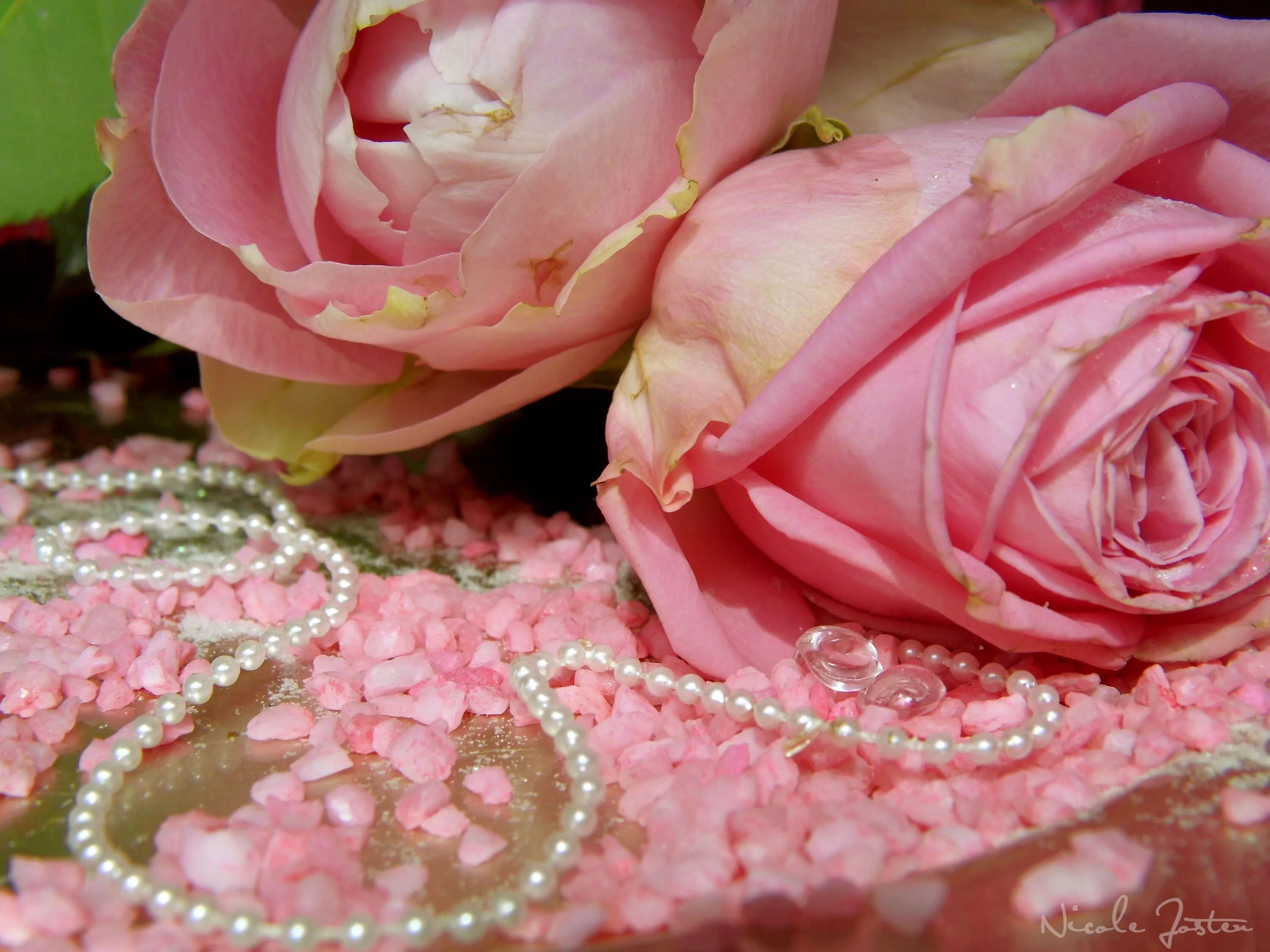 Восхитительно нежный. Нежные розы. Розовые цветы. Розовые розы с бусами. Розовые розы с жемчугом.