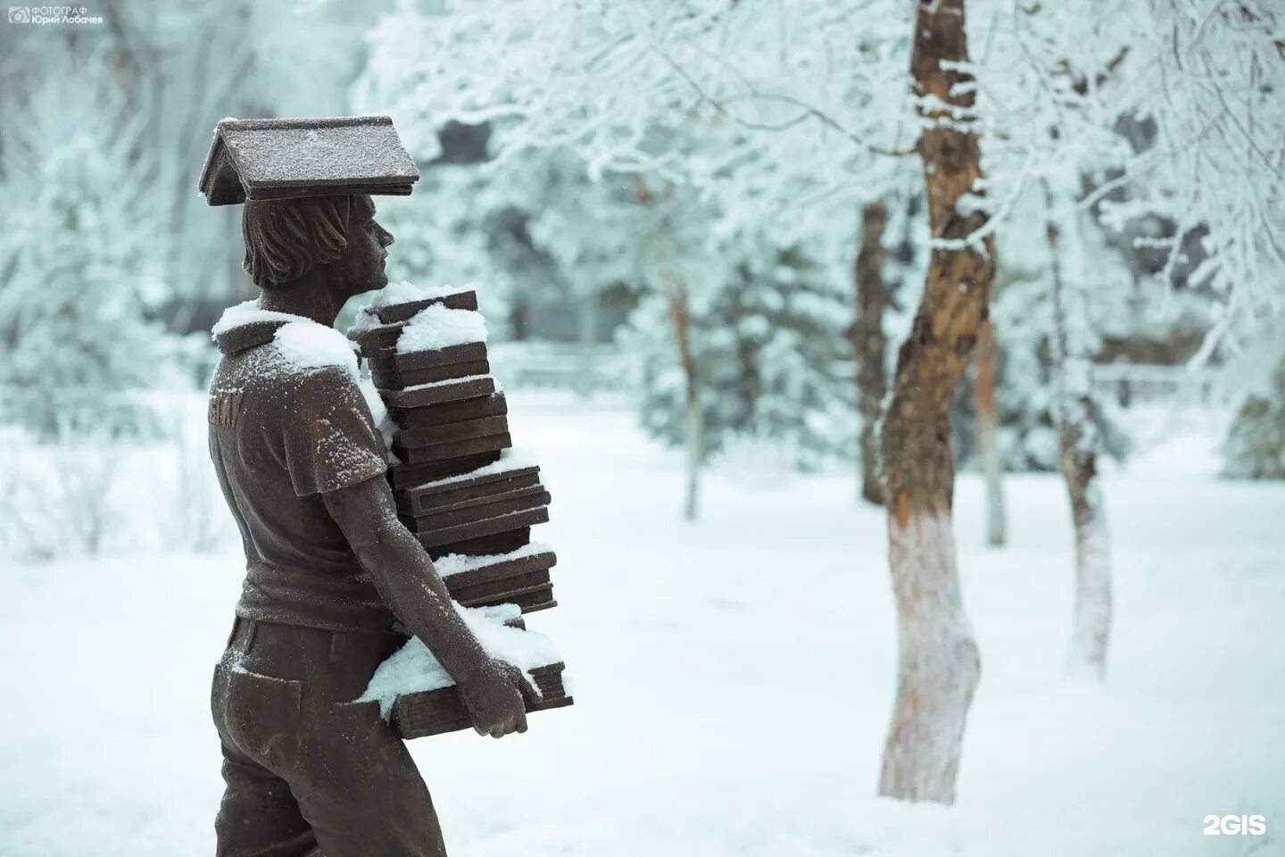 Книги winter. Книги зима. Книга на снегу. Книга на зимнем фоне. Книги winter.