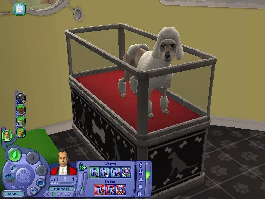 The sims 1 питомцы. Как создать питомца в симс 4. Симс приют для животных. Sims домашние животные. Симс приют для животных.