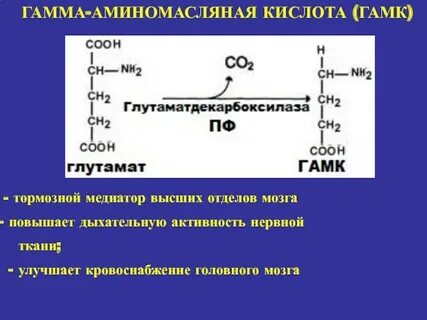 Гамк гамма аминомасляная кислота