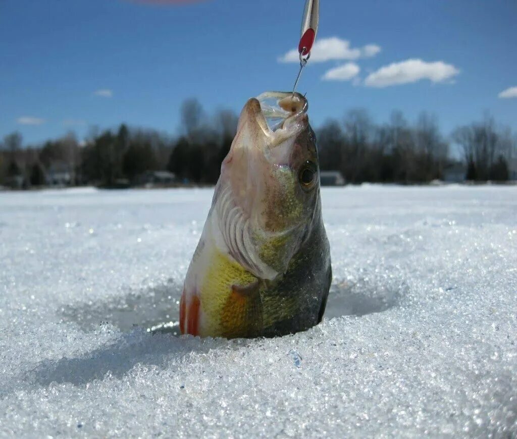зимняя рыбалка. рыбак зимой. зимняя рыбалка. подледная рыбалка. рыбалка на севере зимой.
